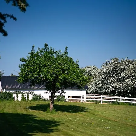 Inn Den Gamle Graensekro