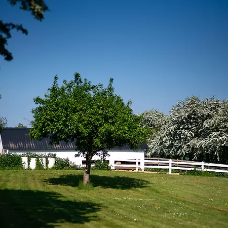 Den Gamle Graensekro 3*