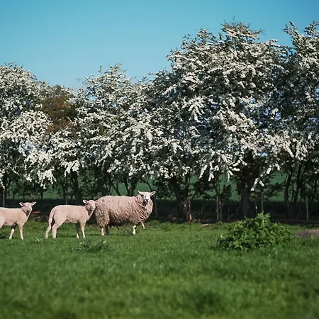 Den Gamle Graensekro 3* Christiansfeld