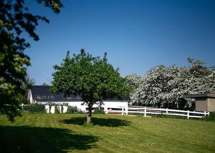 Mini-hôtel Den Gamle Graensekro